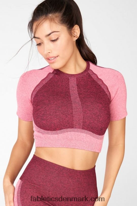 Fabletics Kvinder helena sømløs crop top PNX2T2098 pink lyng multi