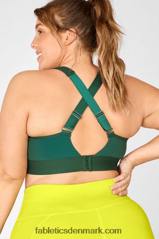 Fabletics Kvinder zoe high impact sports bh iv PNX2T1447 regnskov