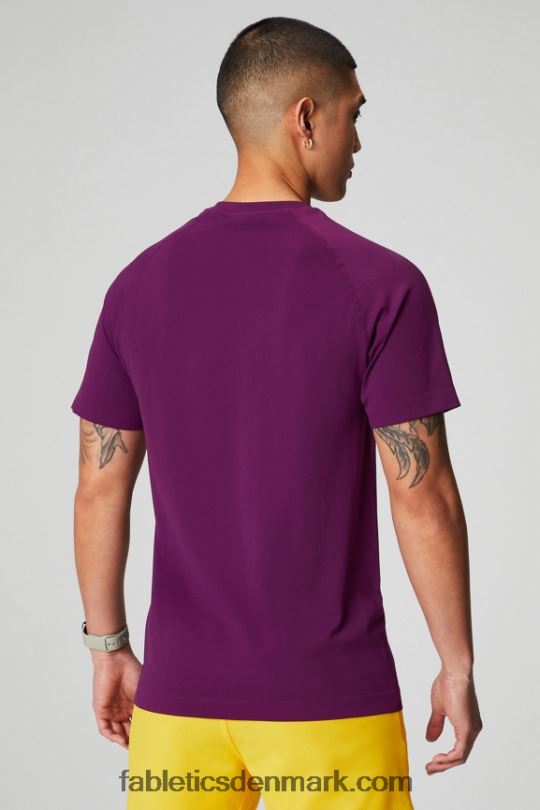 Fabletics Mænd træningsdagen tee 174 PNX2T3458 aubergine