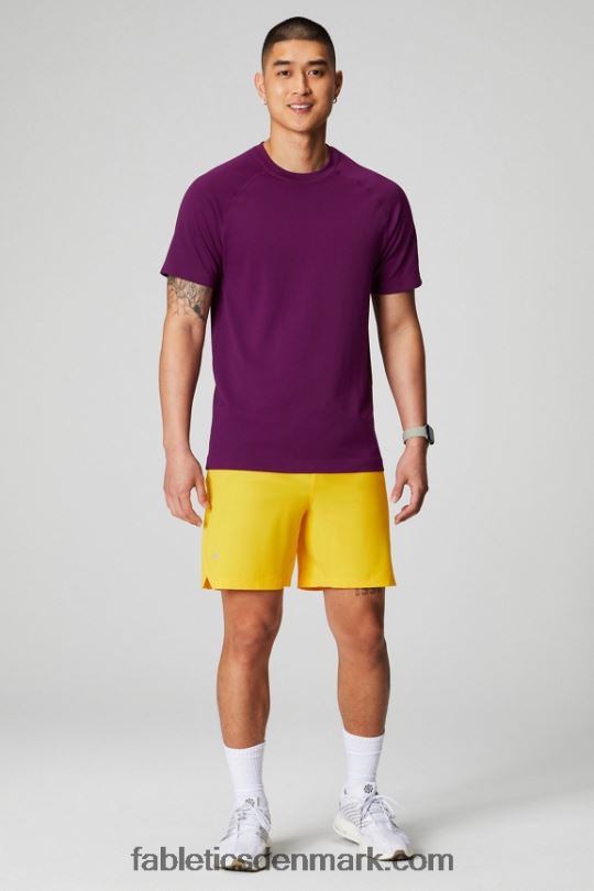 Fabletics Mænd træningsdagen tee 174 PNX2T3458 aubergine